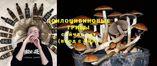 мдпв Беломорск