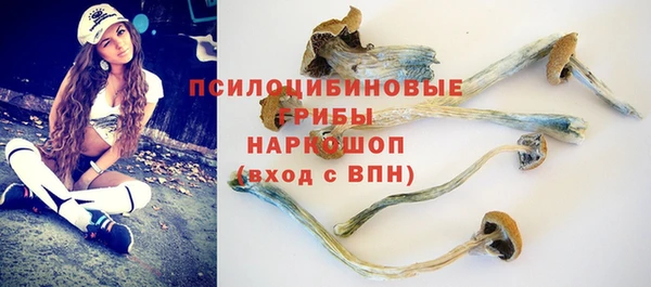 прущий лед Белокуриха