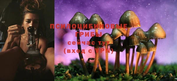 мдпв Беломорск